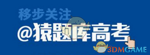小小的猫肚子里全是猫粮