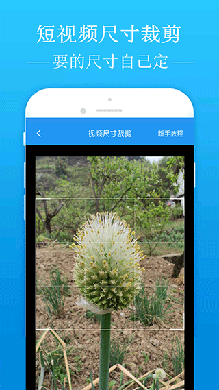 人形机器人，涨停潮！